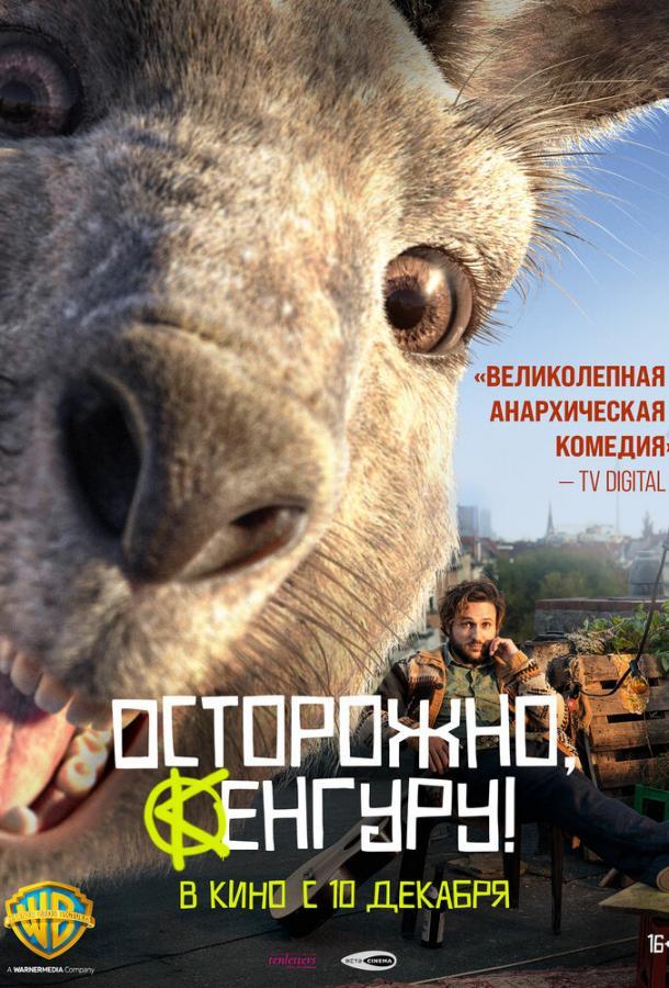 Осторожно, кенгуру!