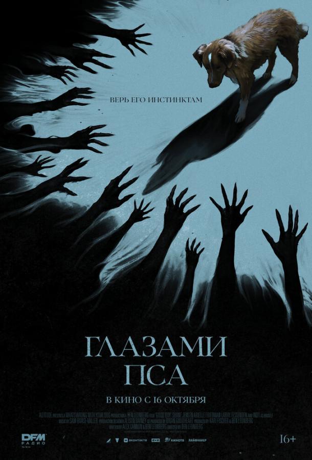Глазами пса